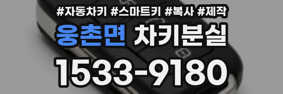 웅촌면 차키분실