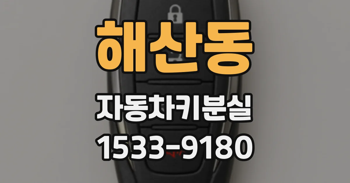 해산동 자동차키분실
