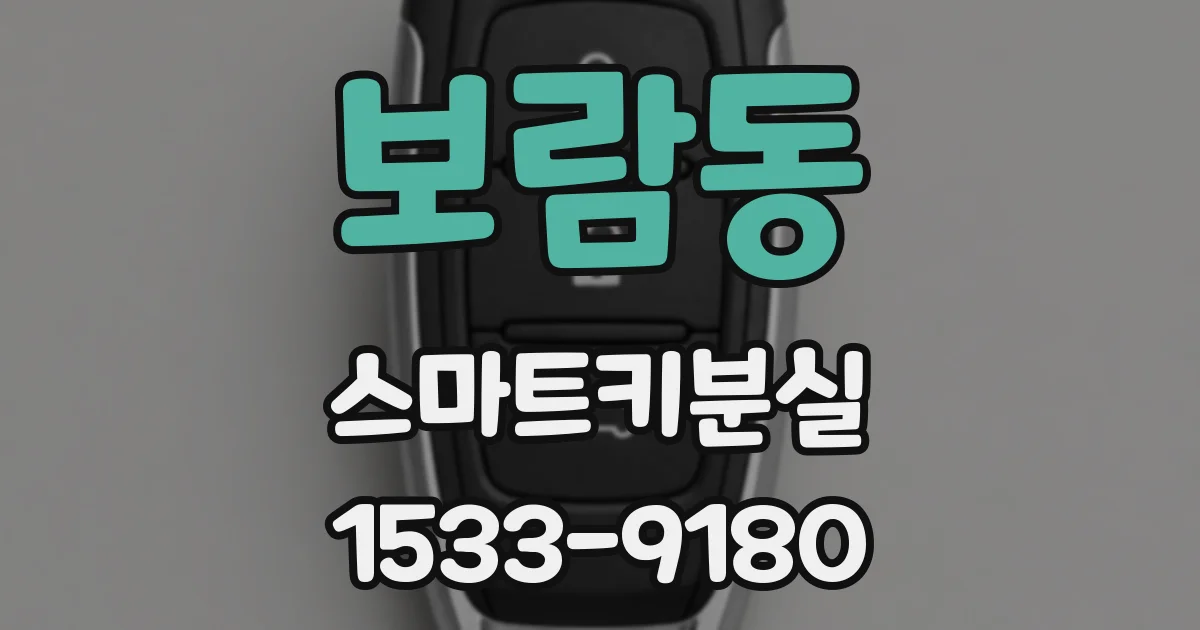 보람동 스마트키분실