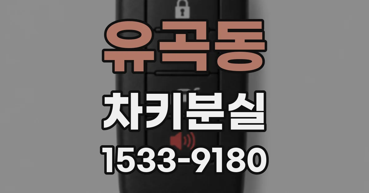 유곡동 차키분실