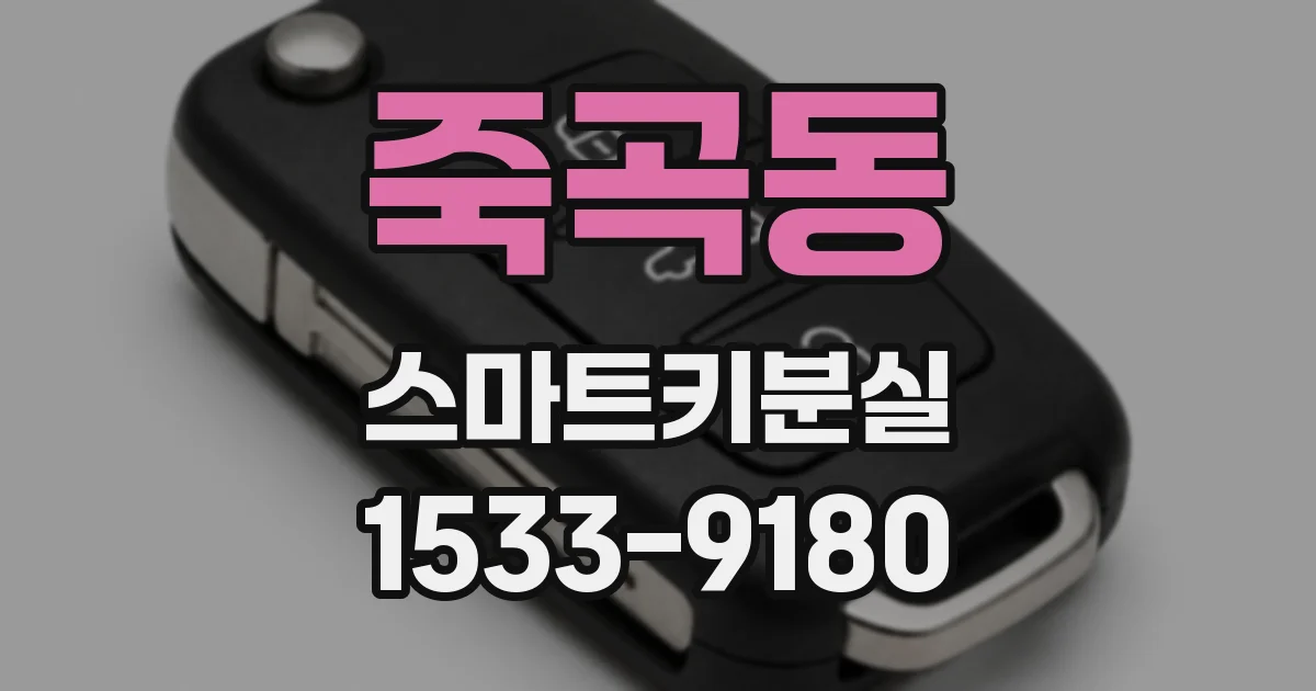 죽곡동 스마트키분실