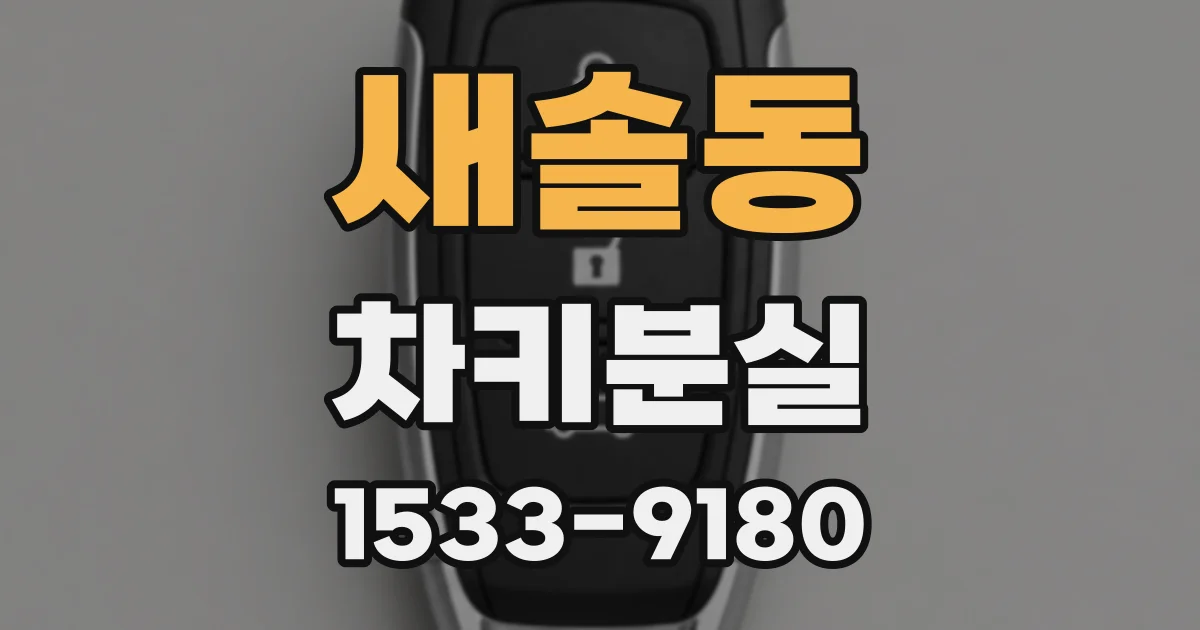 새솔동 차키분실
