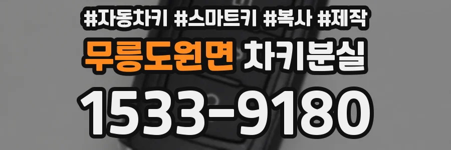 무릉도원면 차키분실
