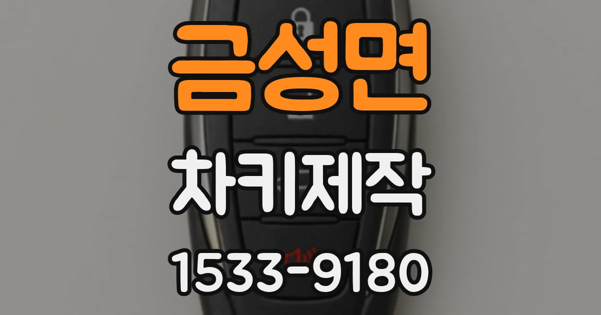 금성면 차키제작