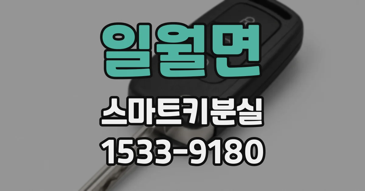 일월면 스마트키분실