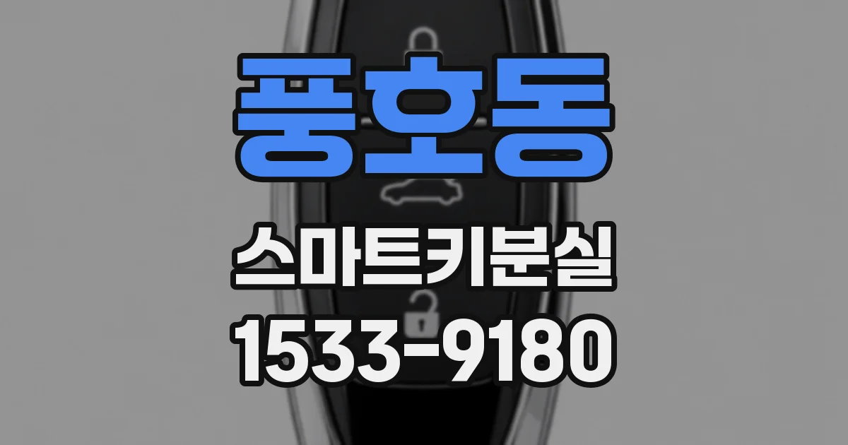 풍호동 스마트키분실