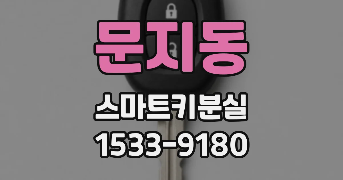 문지동 스마트키분실