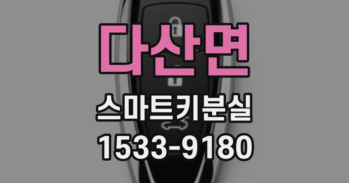 다산면 스마트키분실