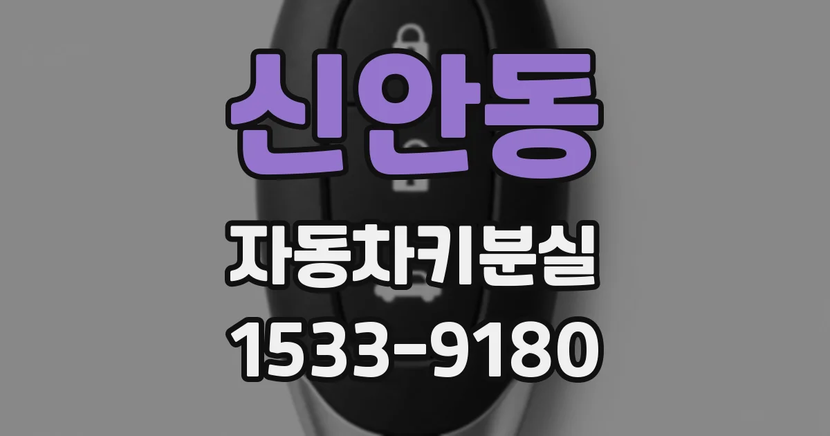 신안동 자동차키분실