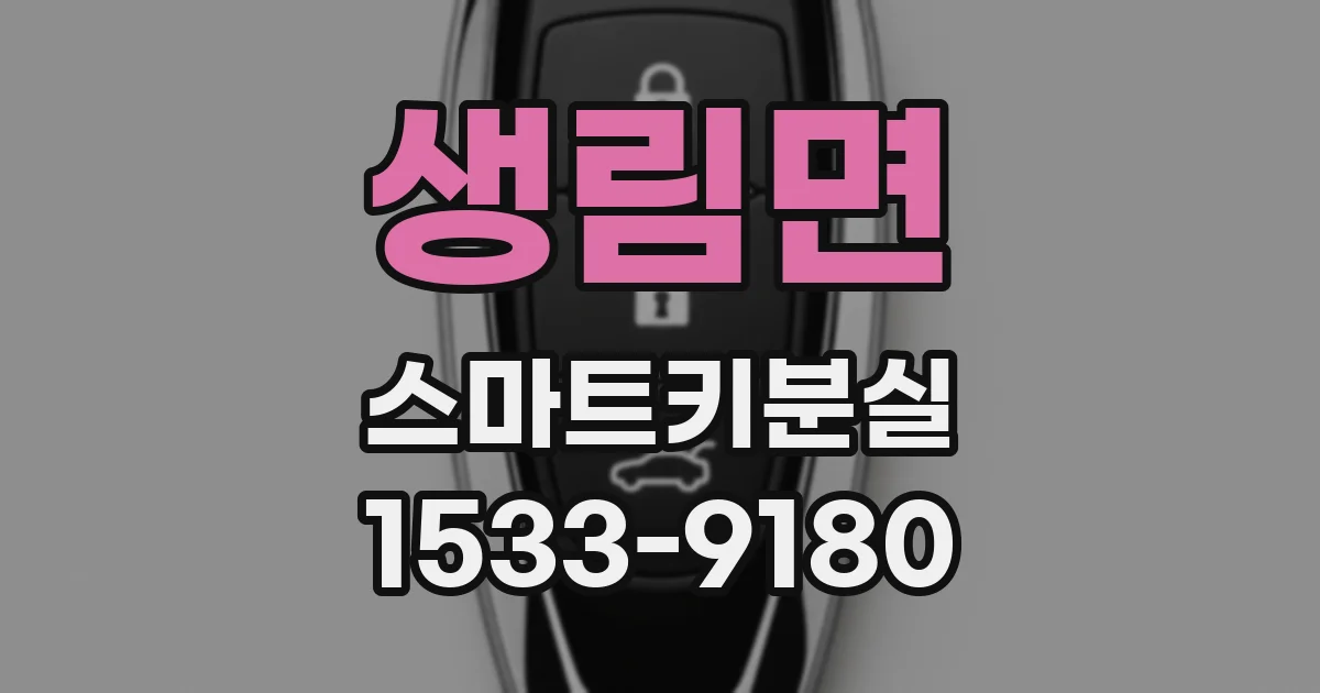 생림면 스마트키분실