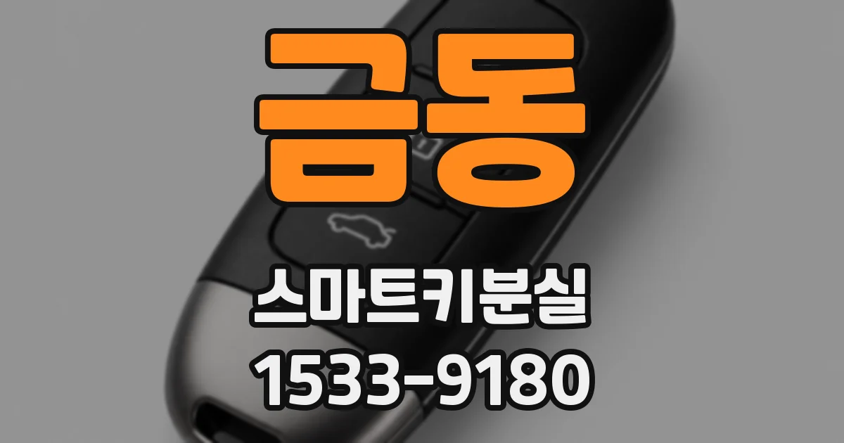 금동 스마트키분실