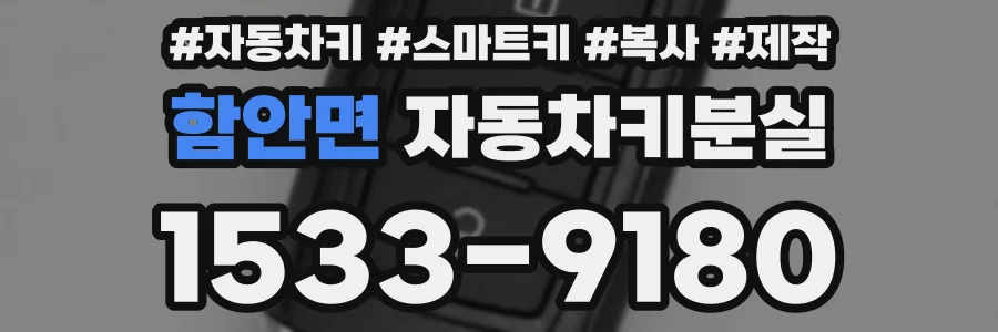 함안면 자동차키분실