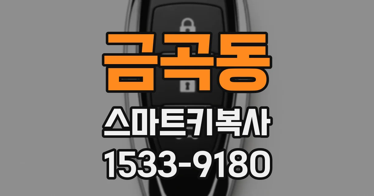 금곡동 스마트키복사