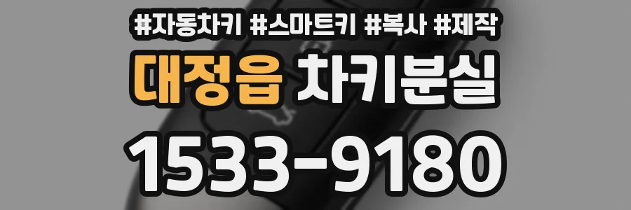 대정읍 차키분실