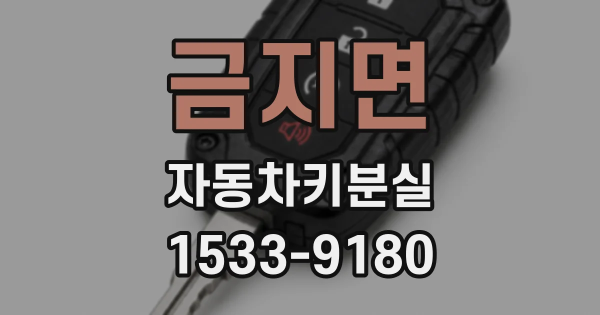 금지면 자동차키분실