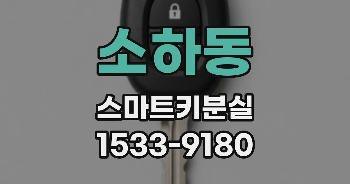 소하동 스마트키분실
