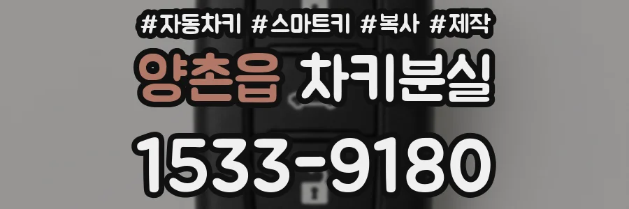 양촌읍 차키분실