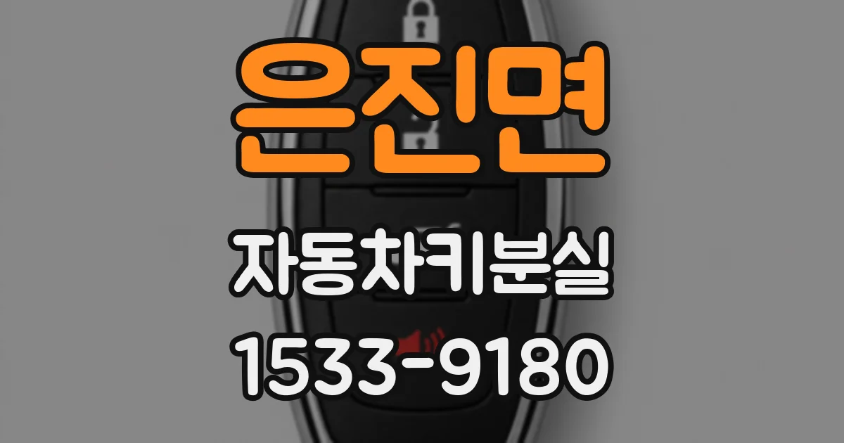 은진면 자동차키분실