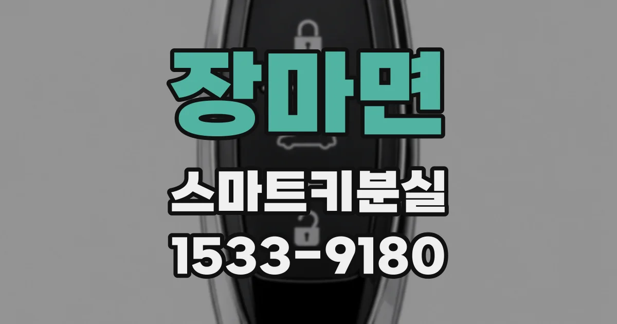 장마면 스마트키분실
