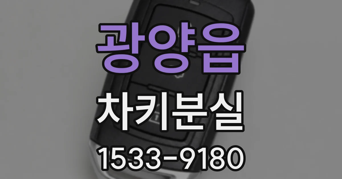 광양읍 차키분실