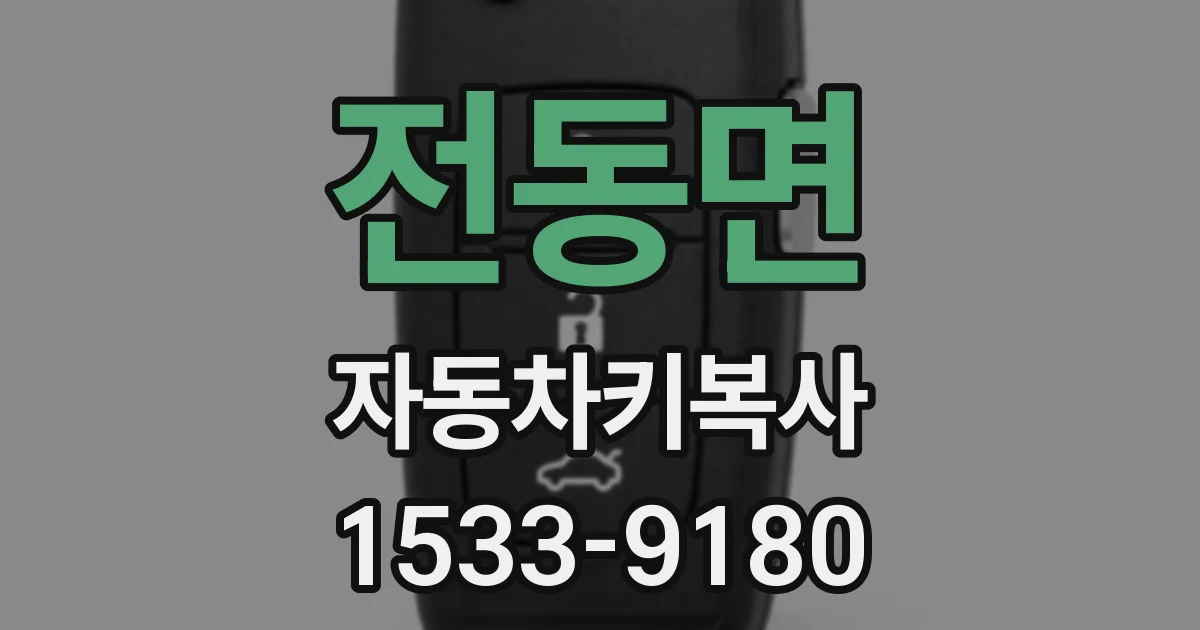 전동면 자동차키복사