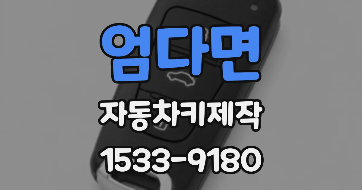 엄다면 자동차키제작