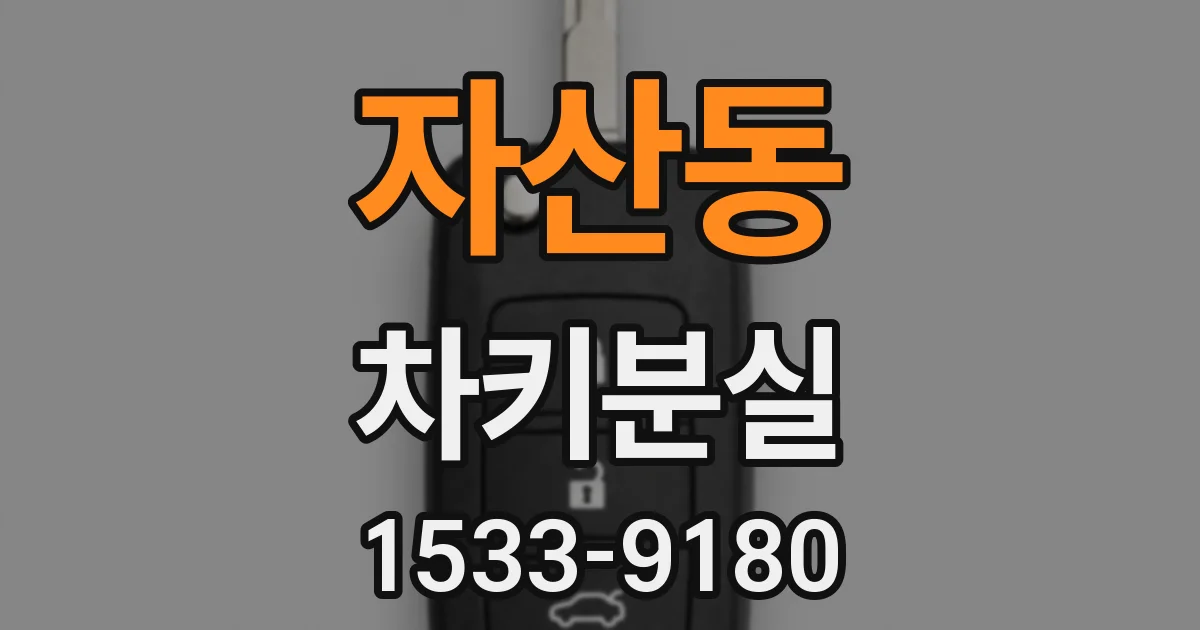 자산동 차키분실