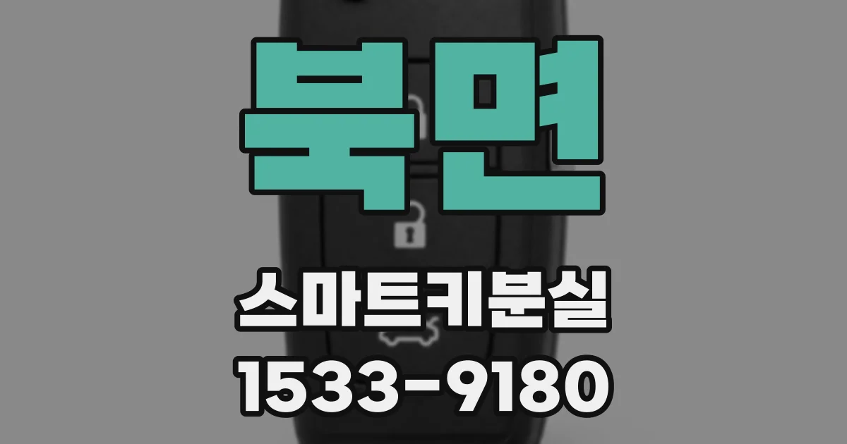 북면 스마트키분실