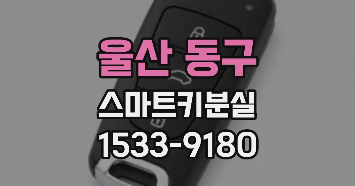 울산 동구 스마트키분실
