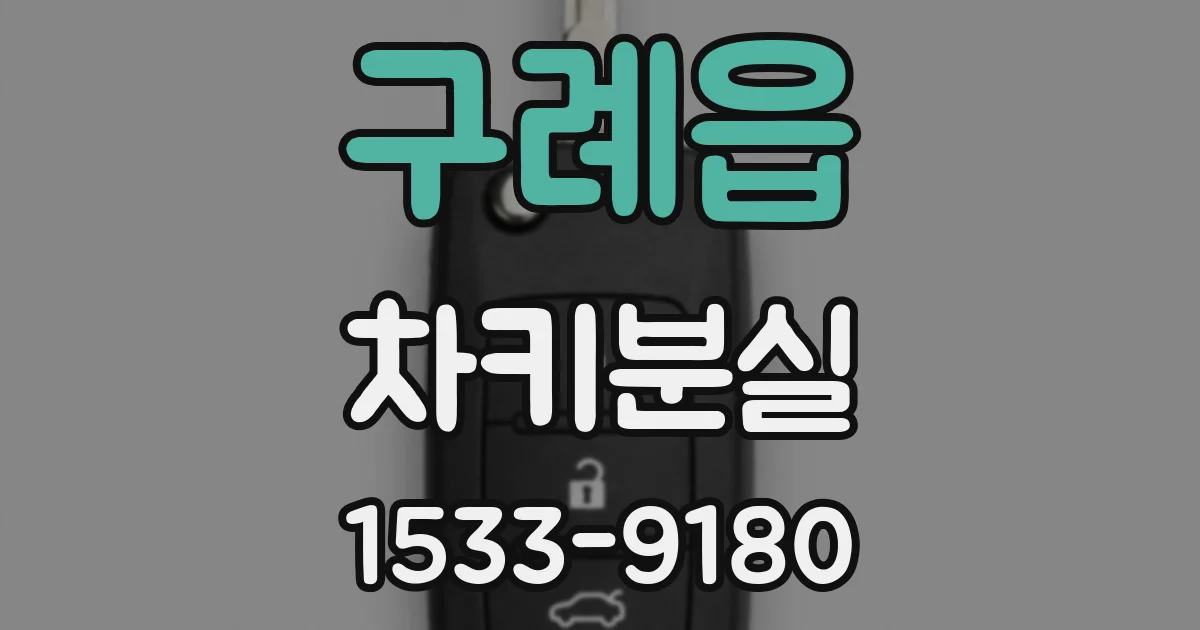 구례읍 차키분실