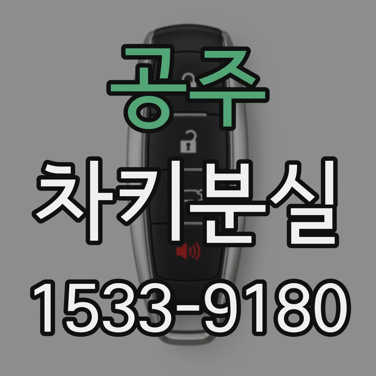 공주 차키분실