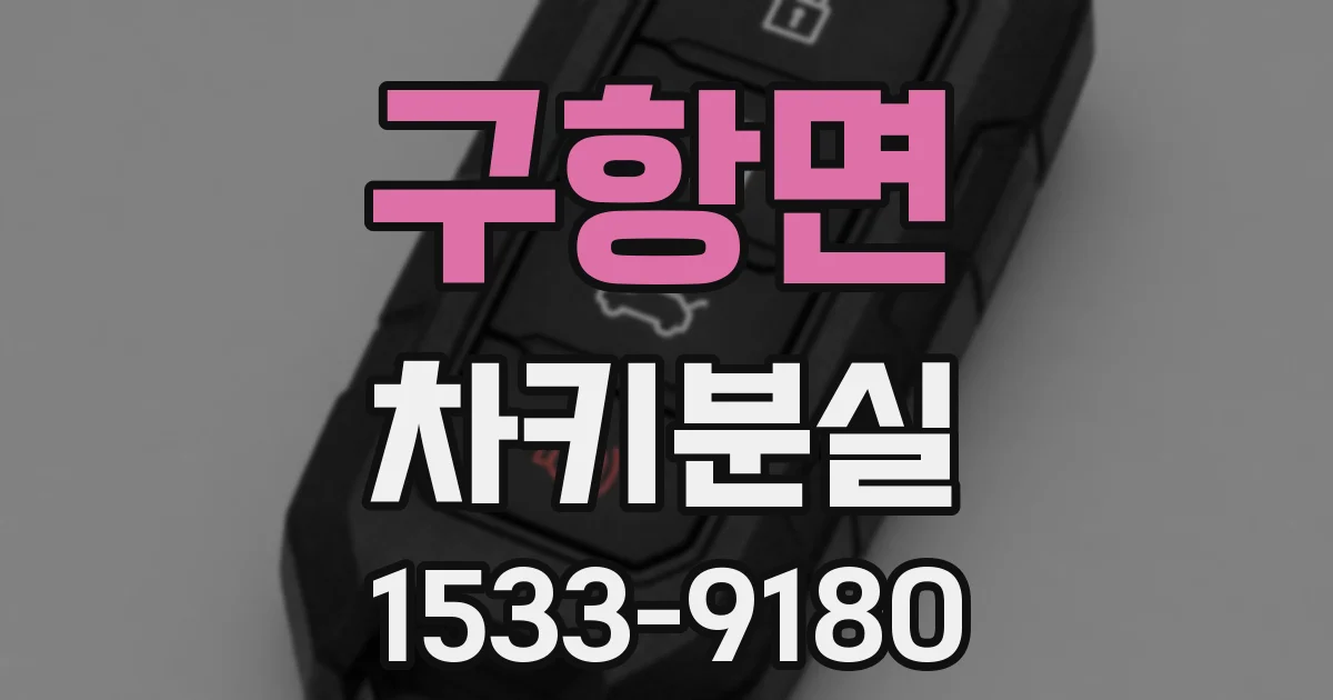 구항면 차키분실