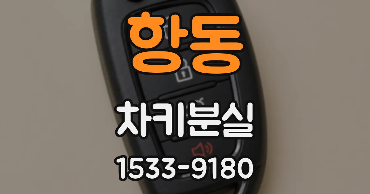 항동 차키분실