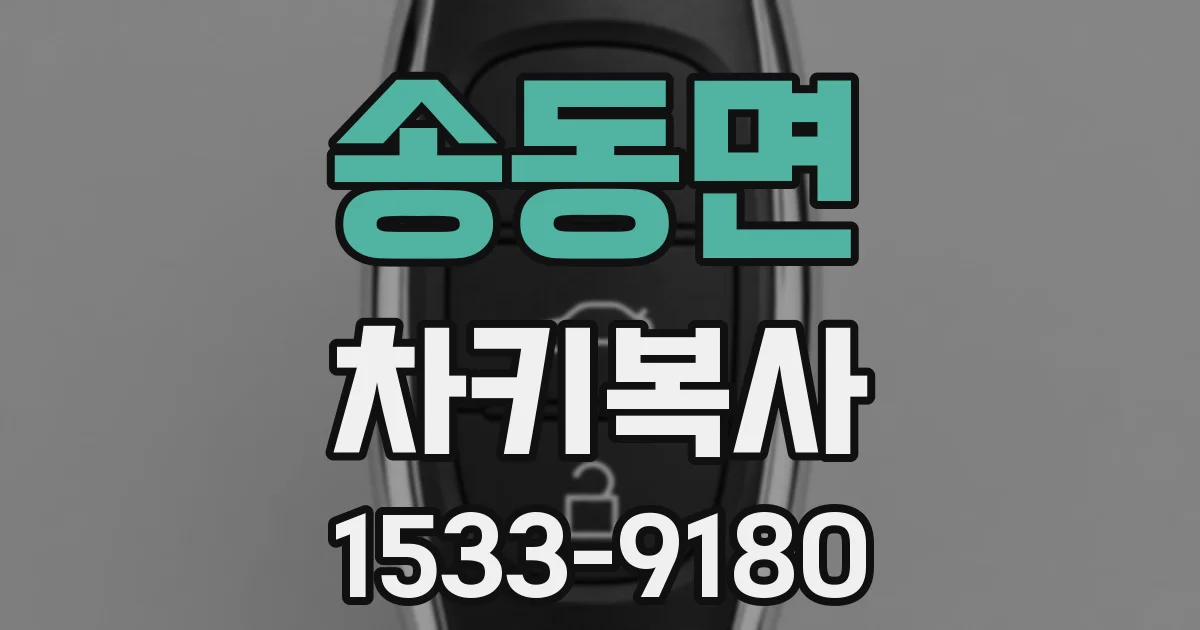 송동면 차키복사