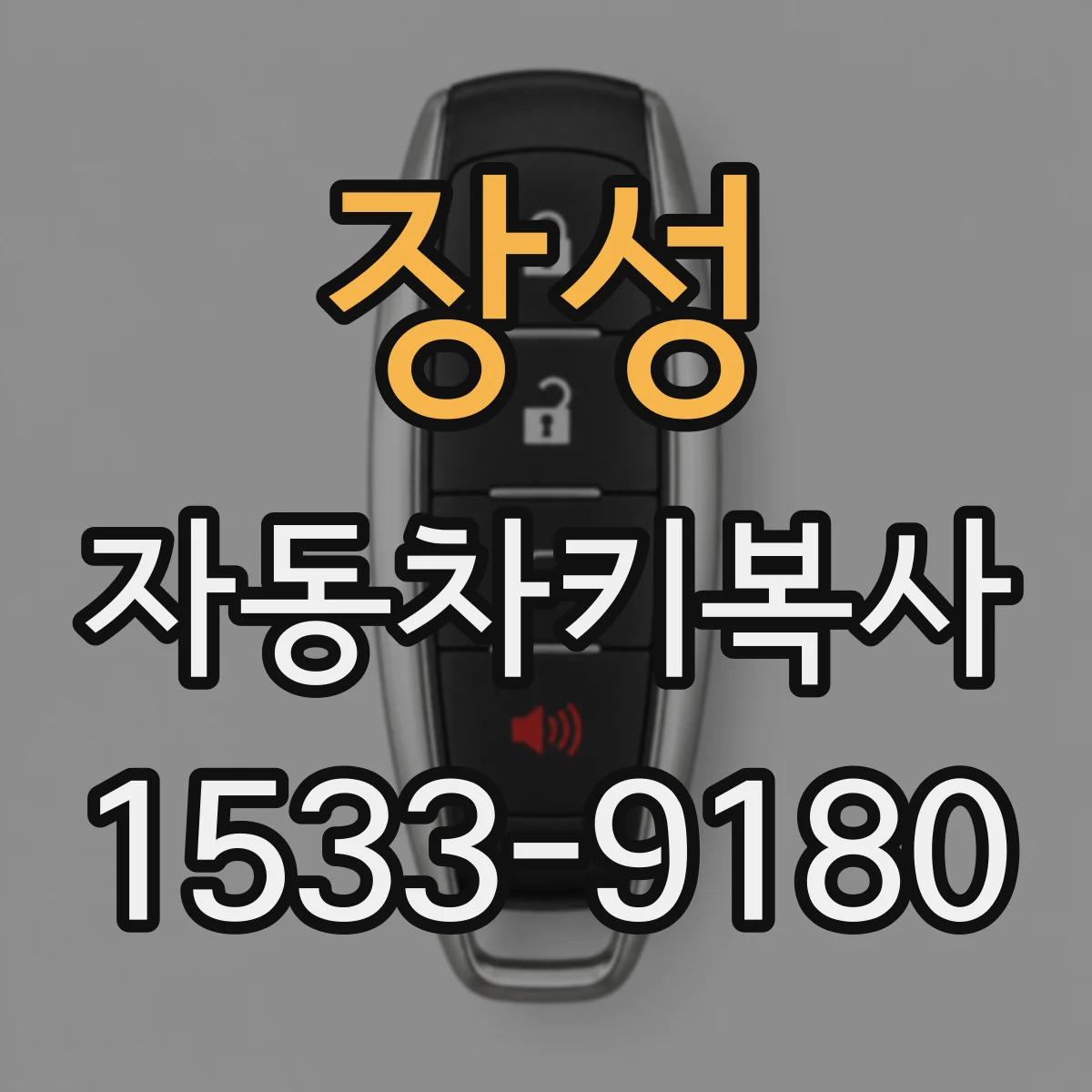 장성 자동차키복사