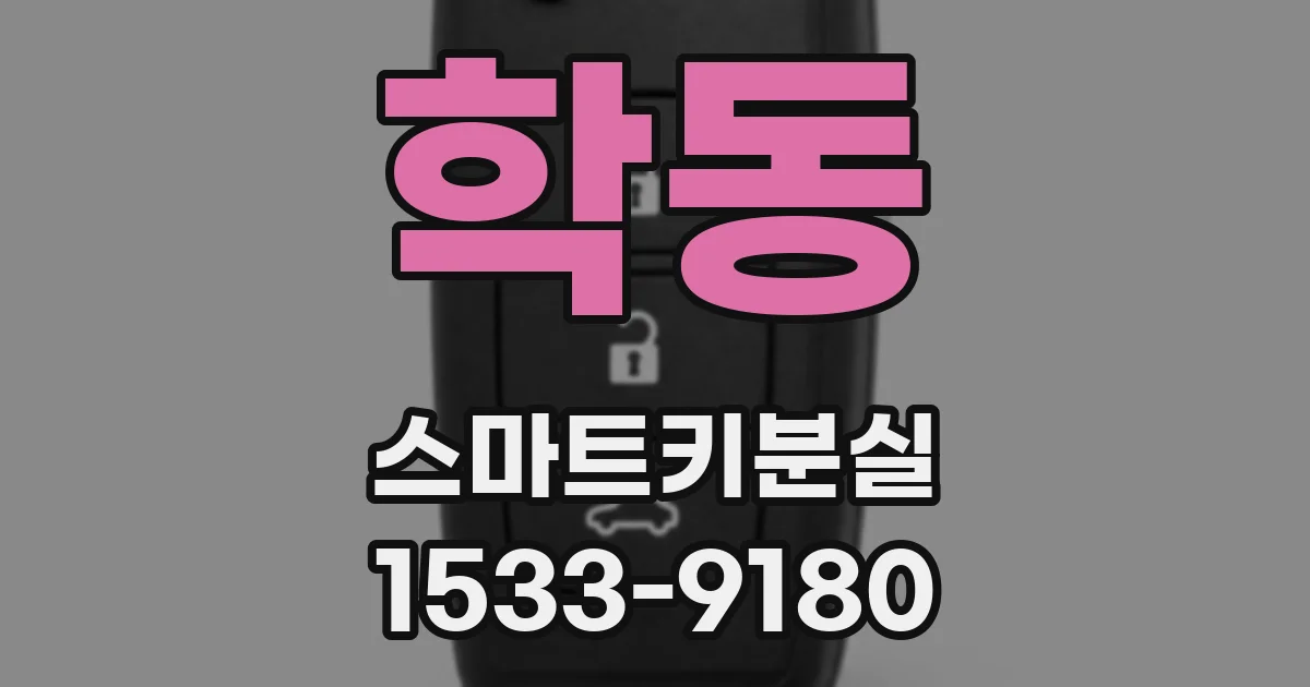 학동 스마트키분실