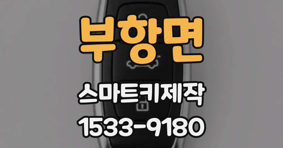 부항면 스마트키제작
