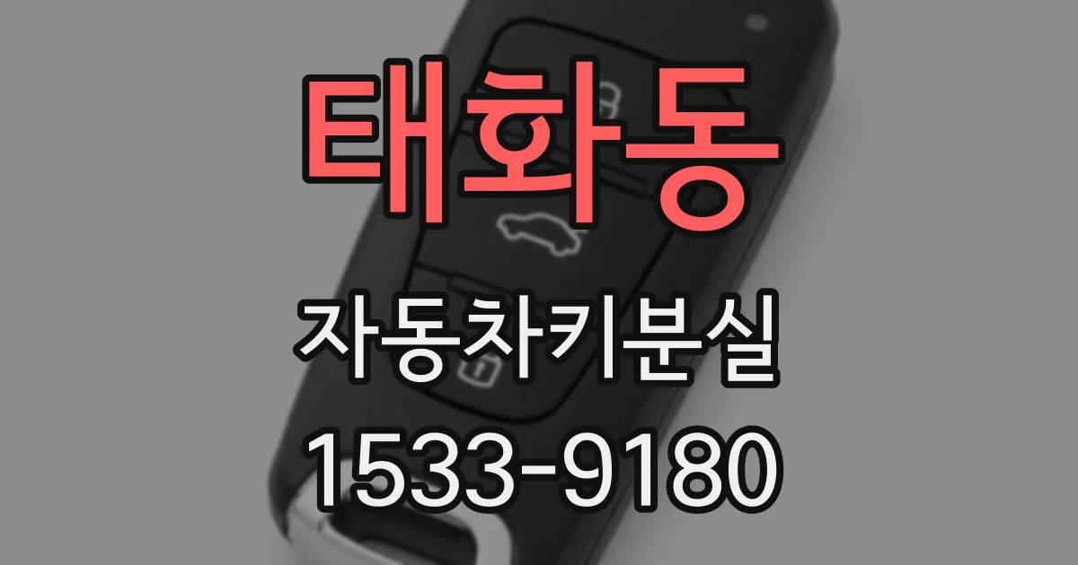 태화동 자동차키분실