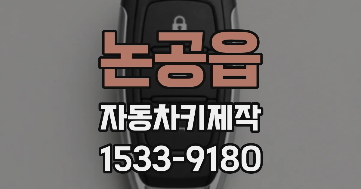 논공읍 자동차키제작
