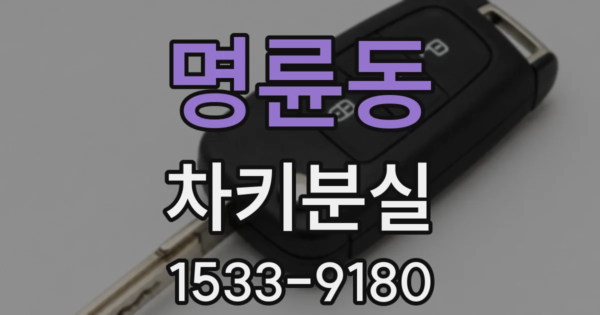 명륜동 차키분실
