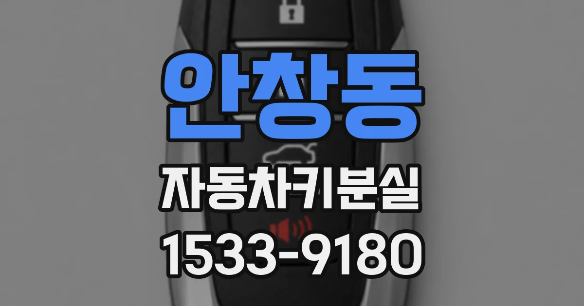 안창동 자동차키분실
