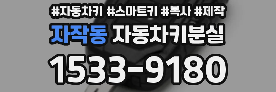 자작동 자동차키분실