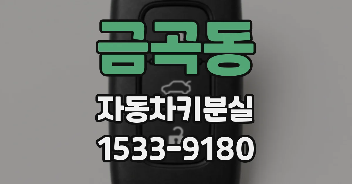 금곡동 자동차키분실