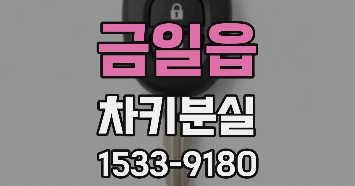 금일읍 차키분실