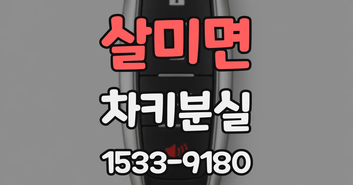 살미면 차키분실