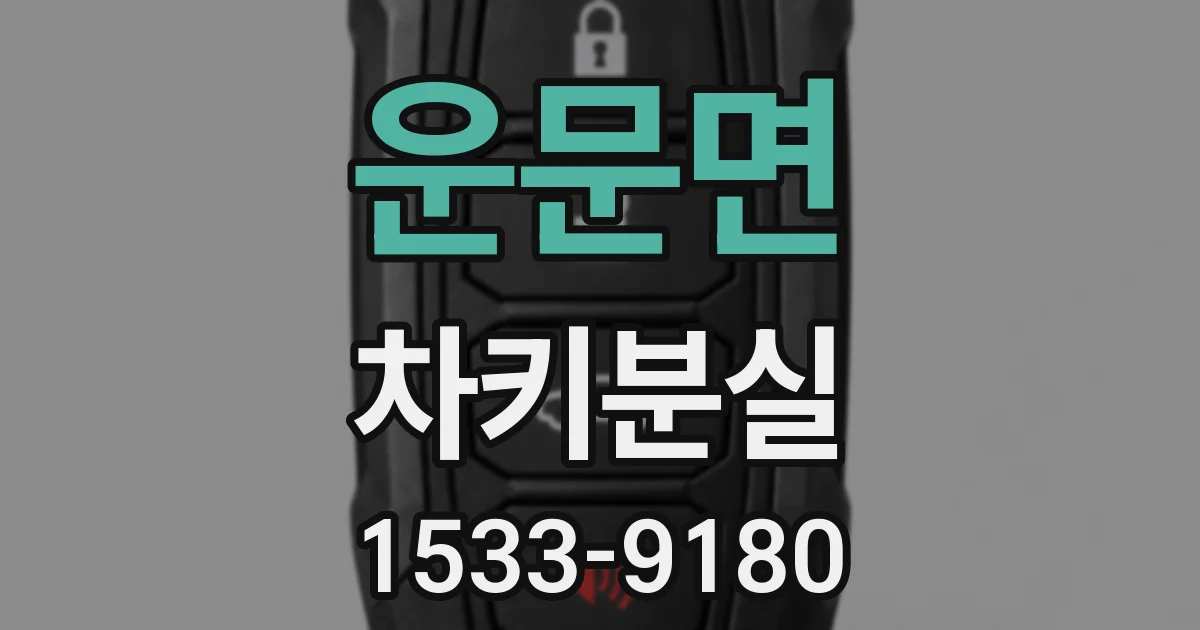 운문면 차키분실