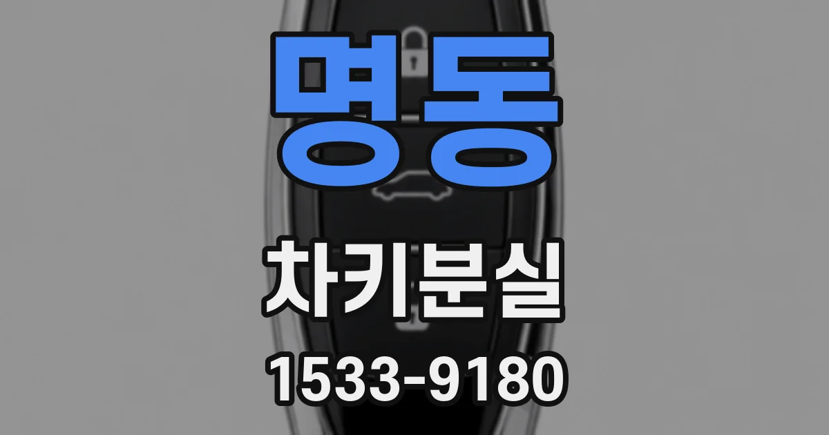 명동 차키분실