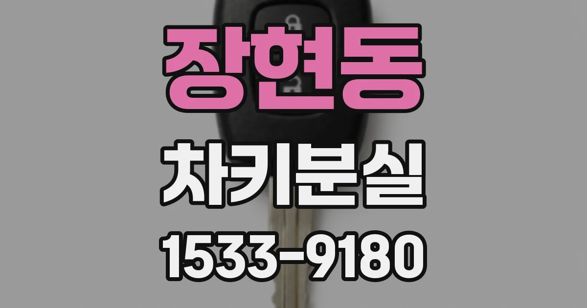 장현동 차키분실