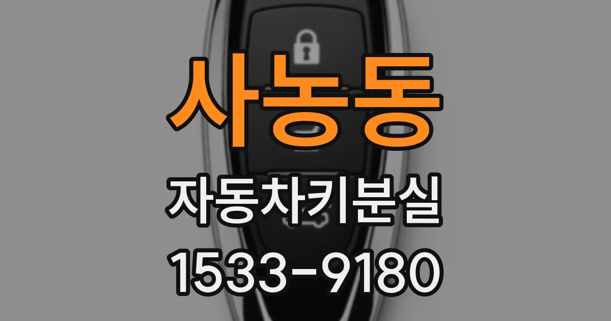 사농동 자동차키분실