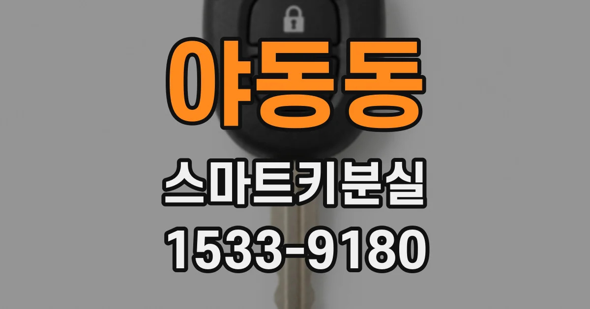 야동동 스마트키분실